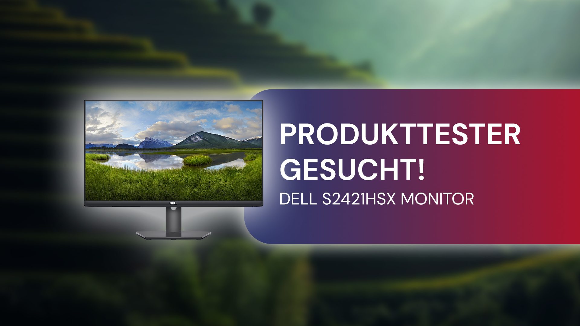 3 Produkttester für 3 Dell Displays gesucht