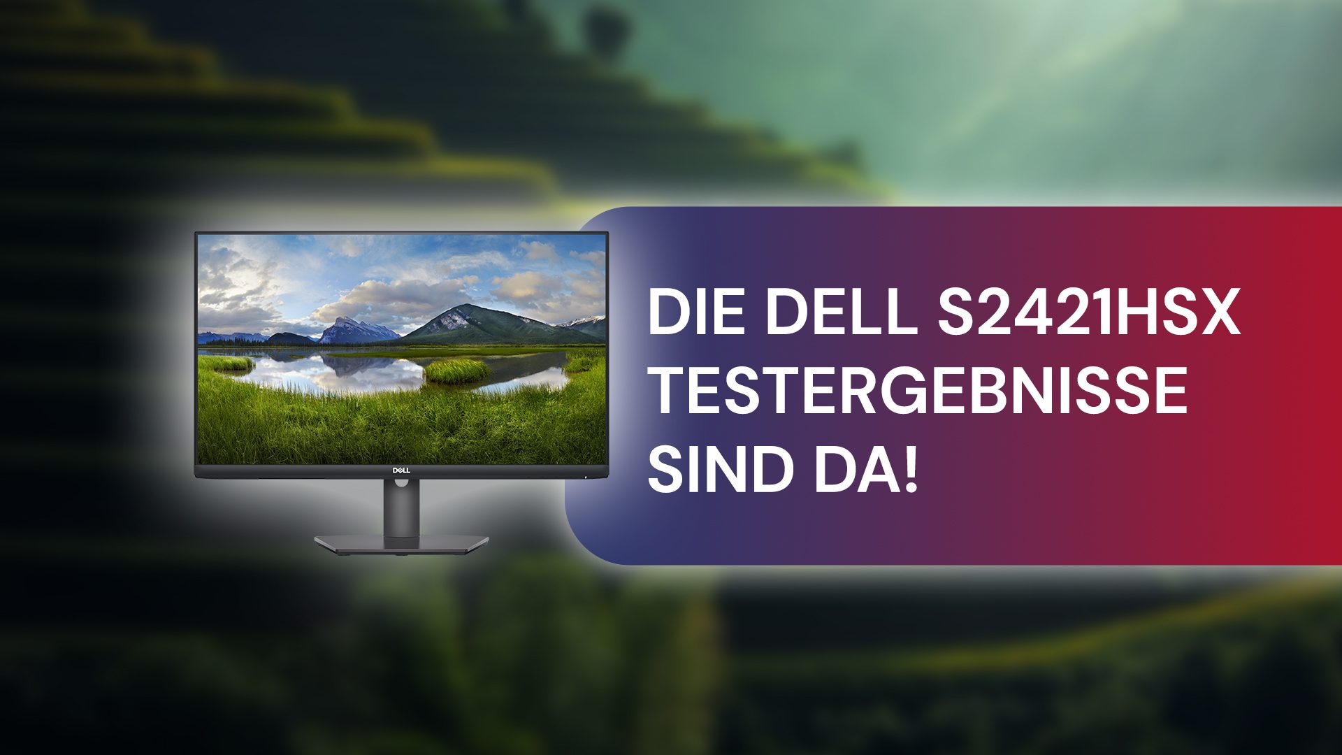 Test Monitor "S2421HSX" von Dell