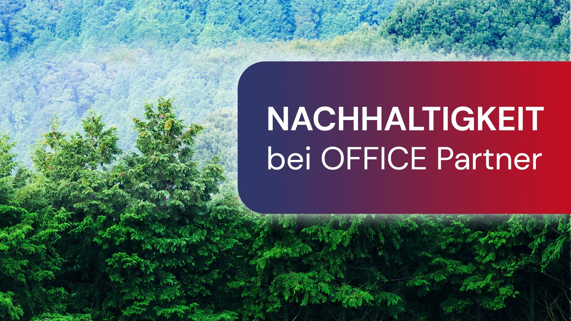 OFFICE Partner steht für eine gesunde Umwelt