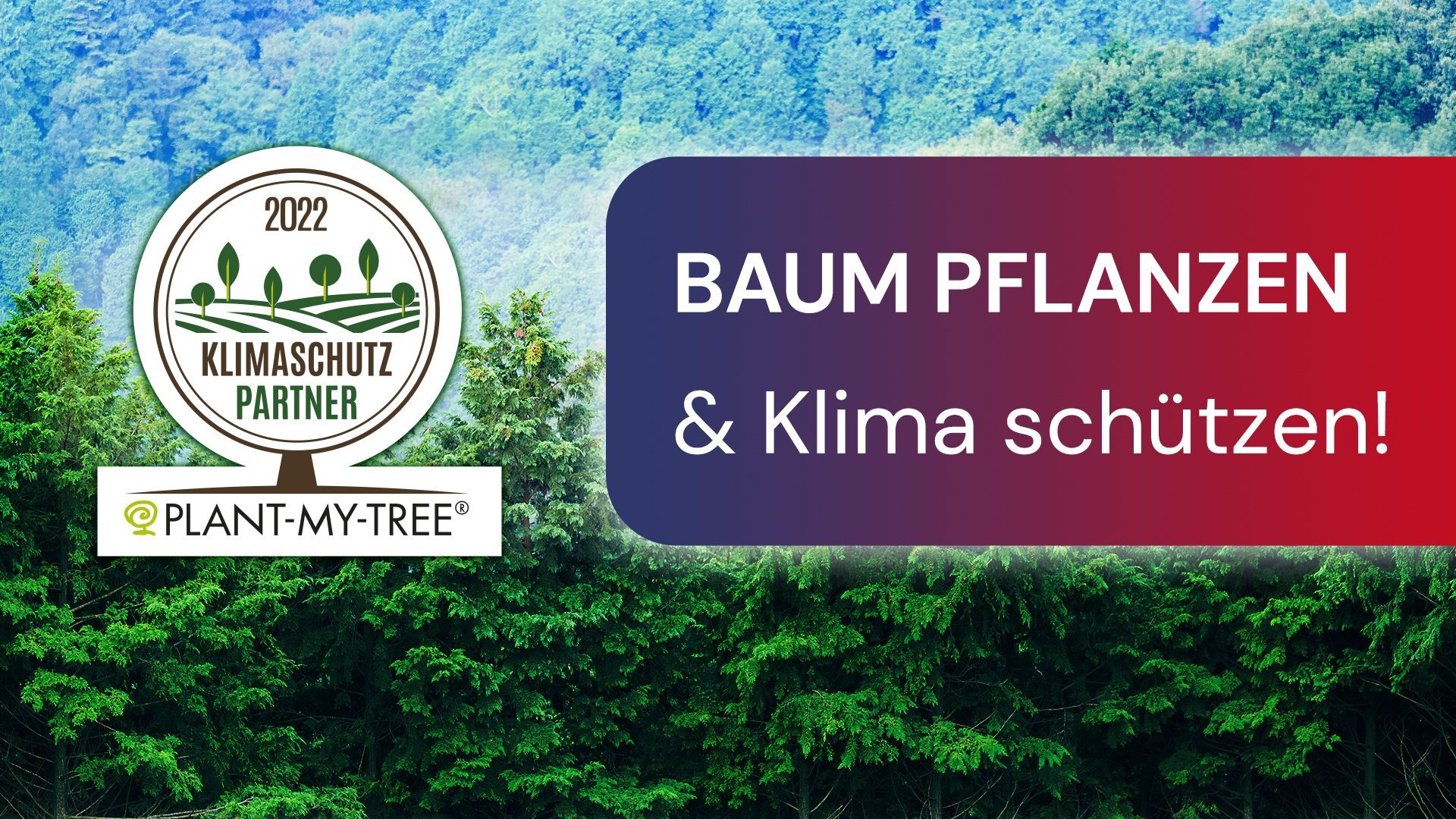 Gemeinsam für ein gesundes Klima: Wir spenden Bäume!