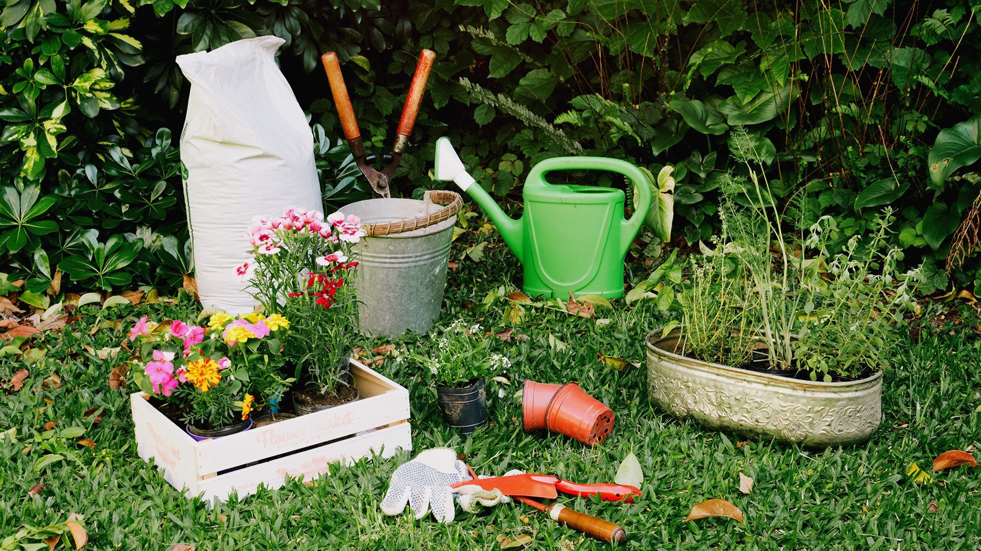 Moderne Gartengeräte für einen traumhaften Garten