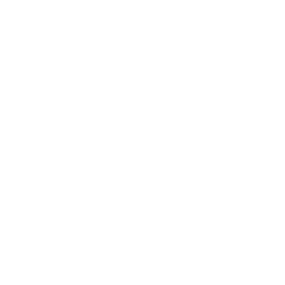 Icon Sicherheit