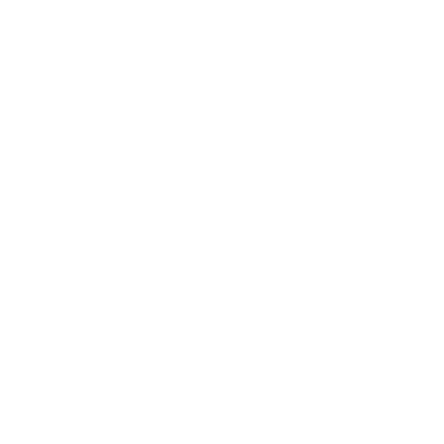 Icon Drucker
