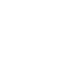 Icon Sicherheit