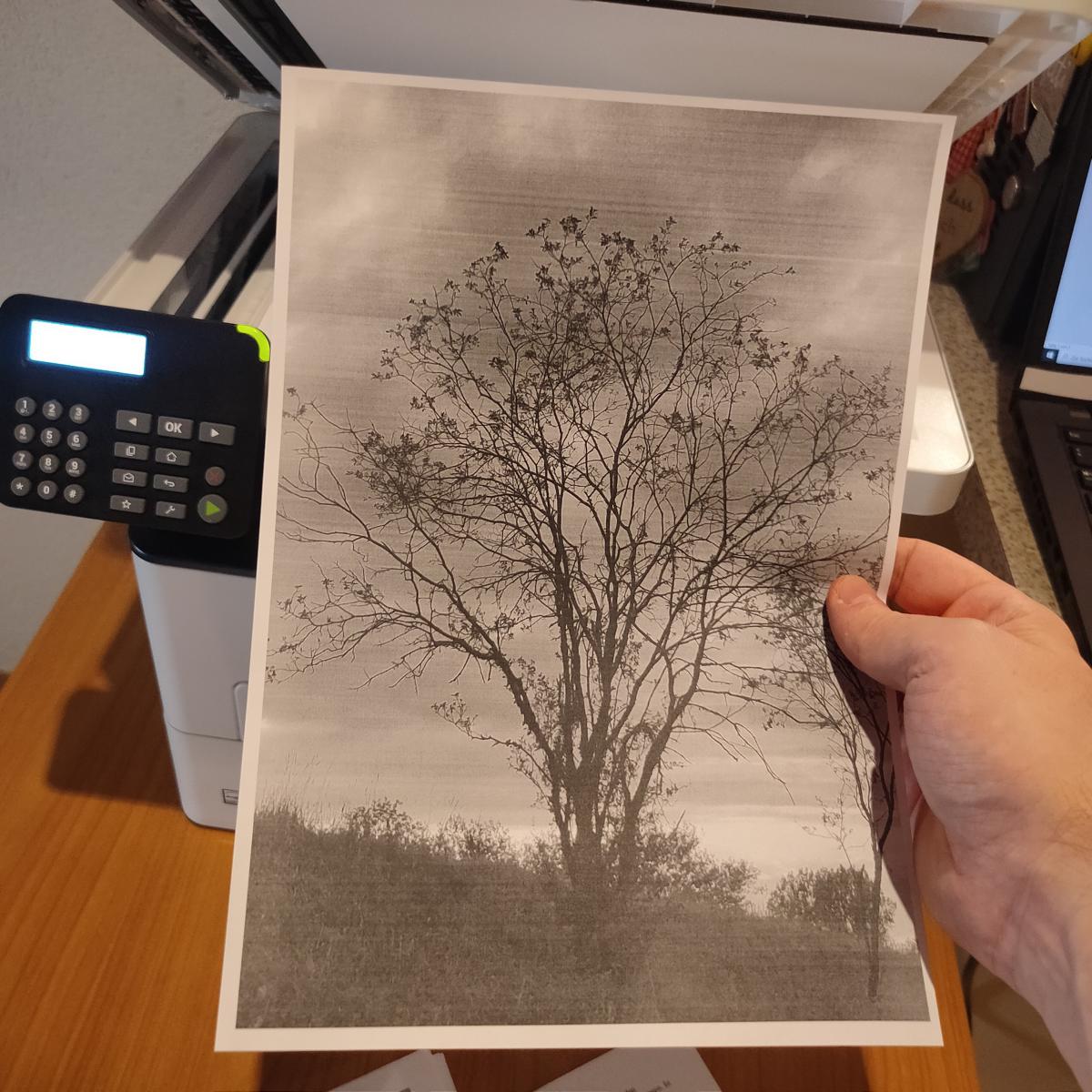 Druckqualität Xerox B225V_DNI