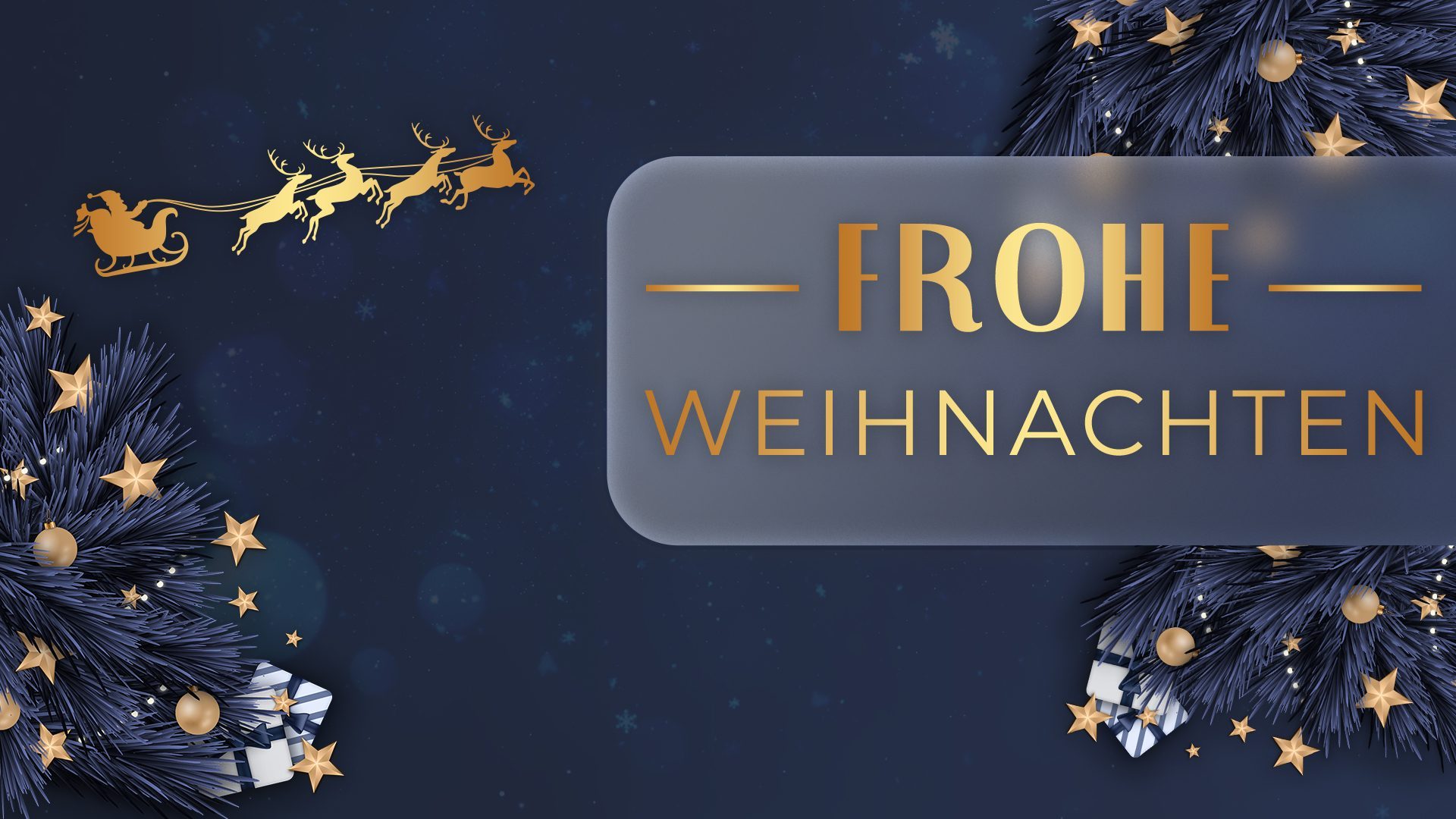Fröhliche Weihnachten und einen guten Rutsch ins neue Jahr!